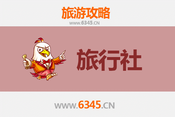 陵水国营南平农场本地旅行社推荐：深度体验热带农场景观与文化